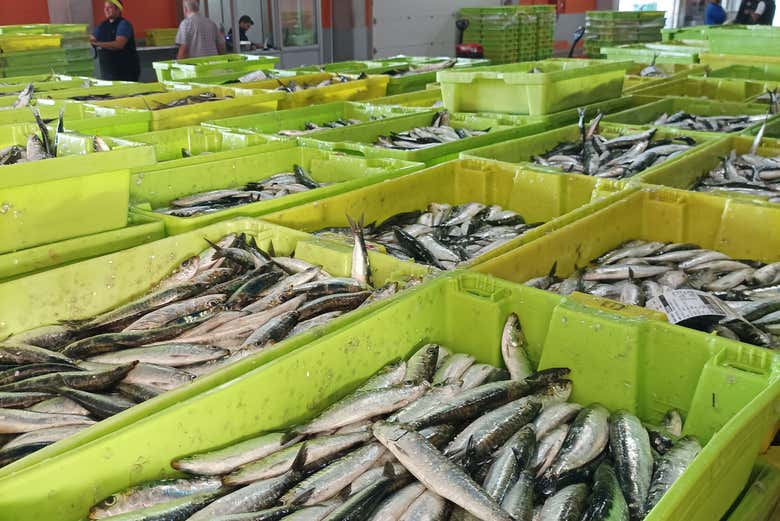 Sardinas en el puerto de Santoña