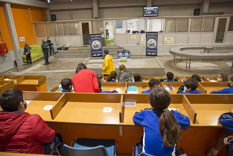 Salle des ventes de la Lonja santoñesa