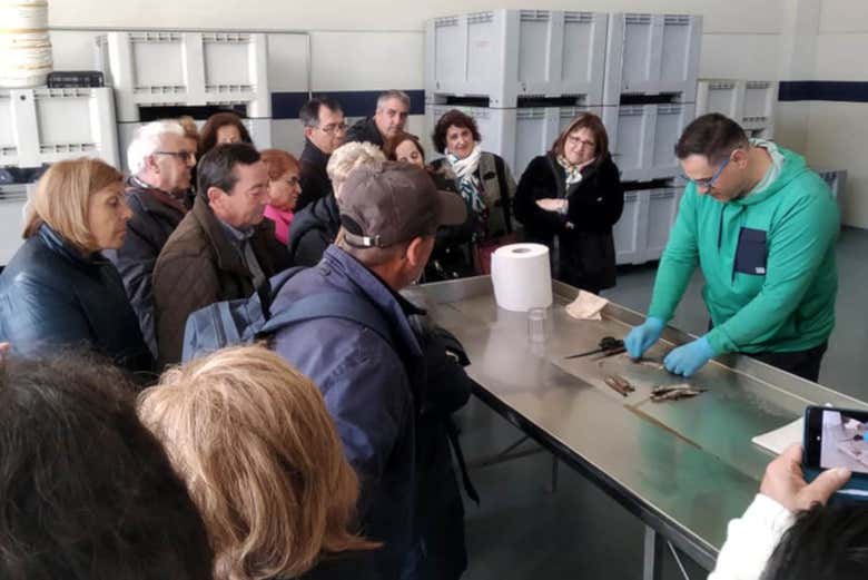 Visitando uma fábrica de conservas de Santoña