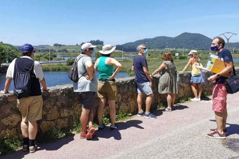Visitando as marismas de Santoña
