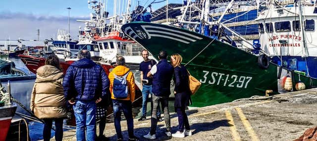 Tour of Port and Fish Market in Santoña + Anchovy Museum