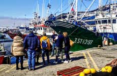 Tour del porto e del mercato del pesce di Santoña + Museo dell'Acciuga