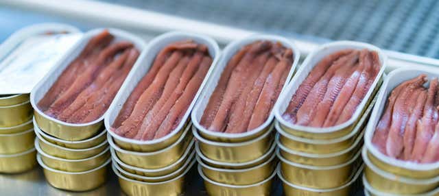 Visita a una fábrica de anchoas con degustación