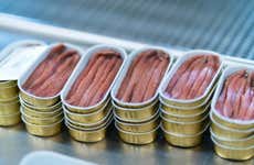 Visite d'une usine d'anchois avec dégustation