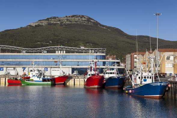 Visita guiada por Santoña