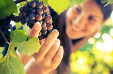 Visita a Quinta Sardonia 