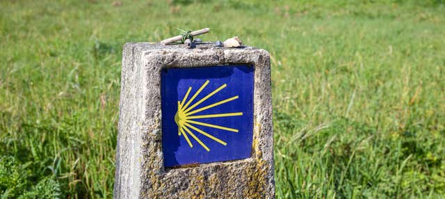 Camino de Santiago francés en 7 días