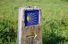 Camino de Santiago francés en 7 días