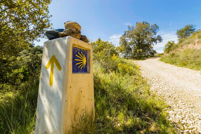 Santiago shell showing the way