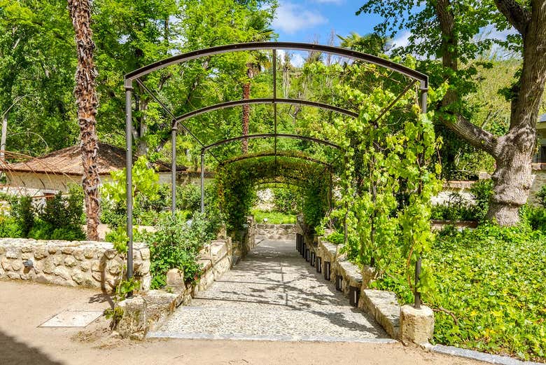 Nel Giardino del Re