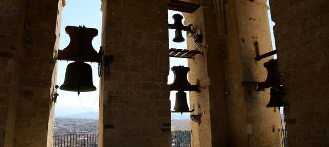Tour por la Catedral y su Torre + Entrada al Palacio Episcopal