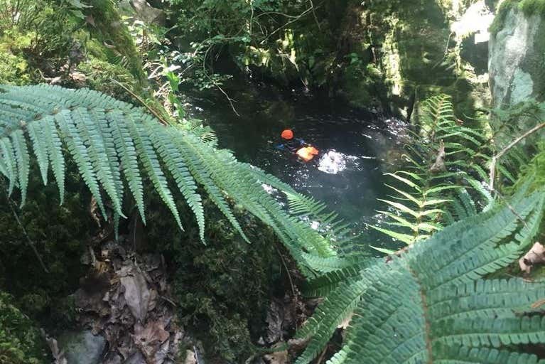 Nadando en el río Tines