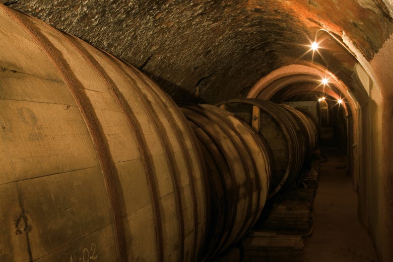 Barris de vinho nas Bodegas De Alberto