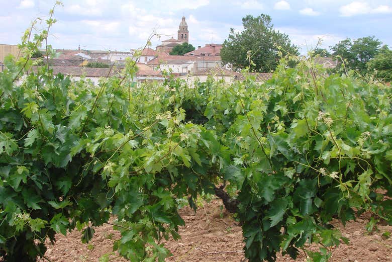 Exterior das Bodegas De Alberto