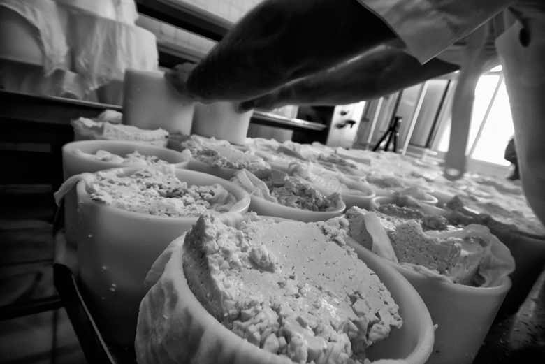 Você aprenderá a fazer queijo em Campoveja