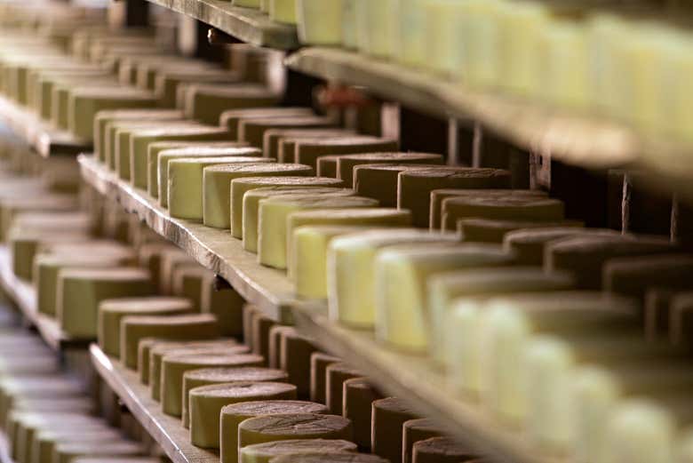 ¿Queréis conocer los secretos del queso?