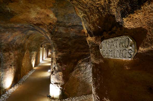 Bodegas De Alberto Tour