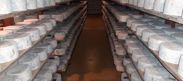 Visita al caseificio Campoveja + Laboratorio di formaggio