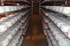 Visita a la quesería Campoveja + Taller de queso