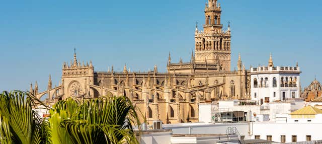 Entradas en Sevilla