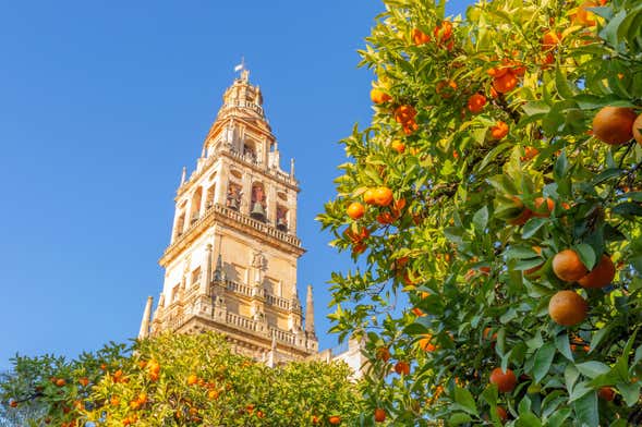 Biglietti per la Cattedrale di Siviglia e la Giralda con audioguida