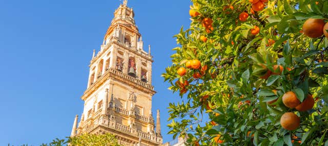 Entradas a la Catedral de Sevilla y la Giralda con audioguía