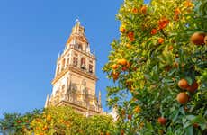 Biglietti per la Cattedrale di Siviglia e la Giralda con audioguida