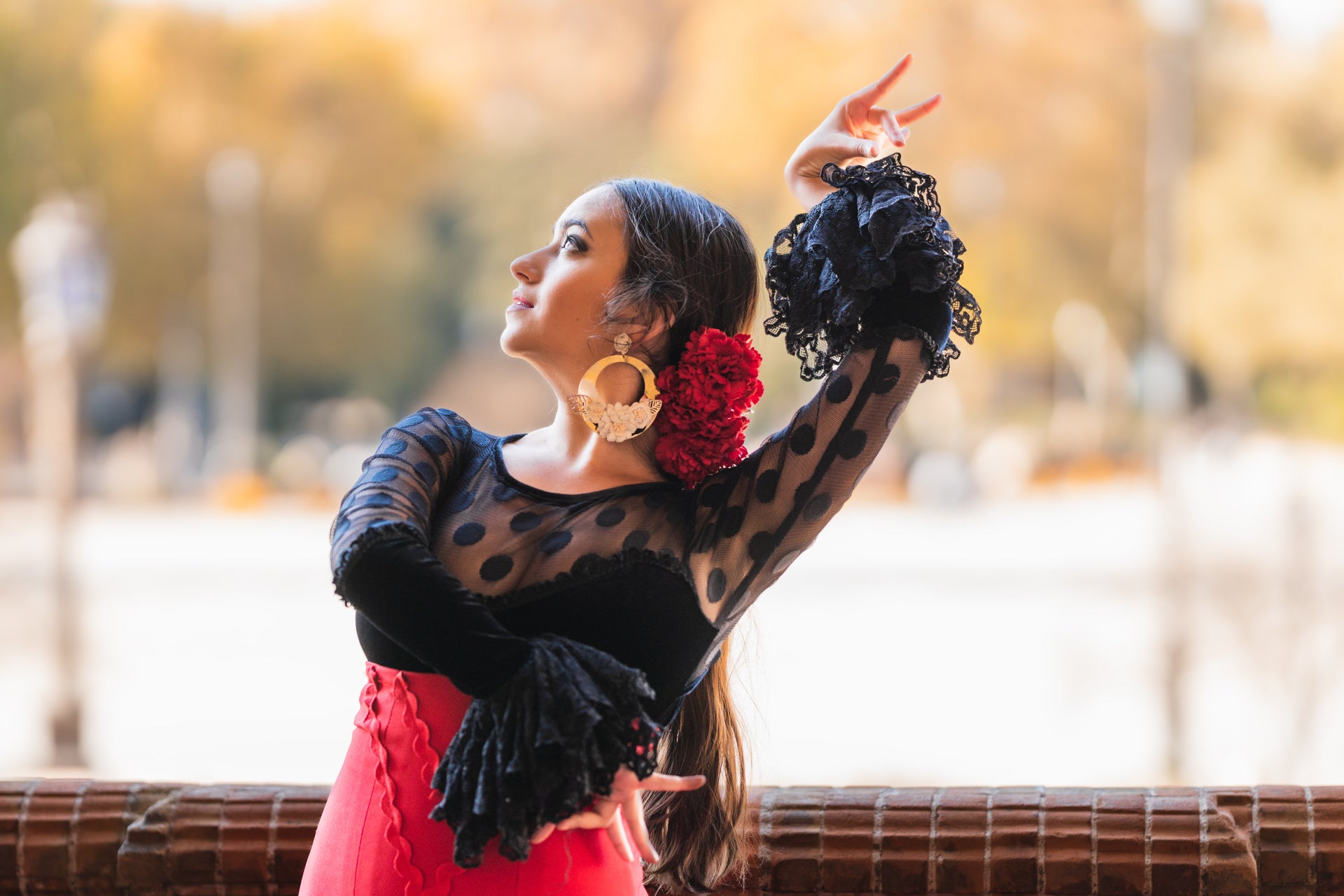 Espetáculo no Museu do Baile Flamenco