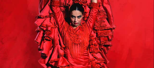 Espectáculo en el Teatro Flamenco Sevilla