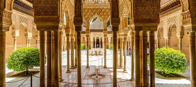 Excursão à Alhambra de Granada