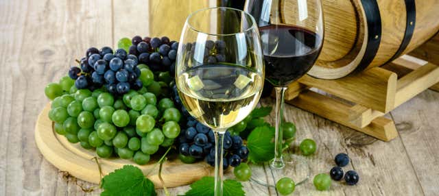 Excursión a las bodegas Salado