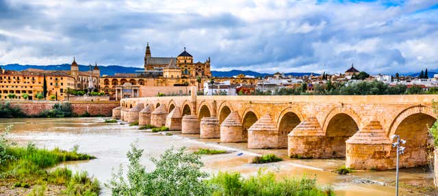 Cordoba Day Trip from Seville