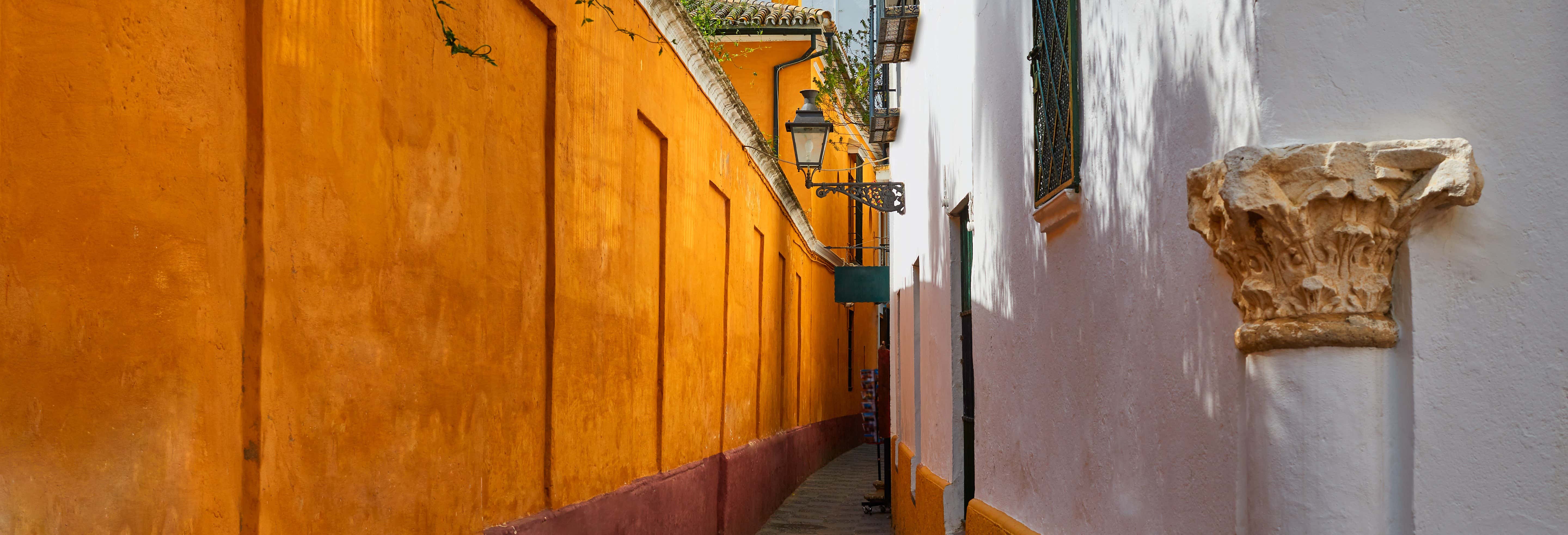 Free Tour en Sevilla