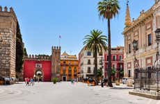 Free tour del Siglo de Oro por Sevilla