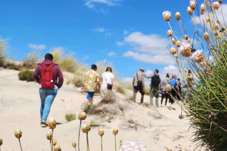 Dunas móviles