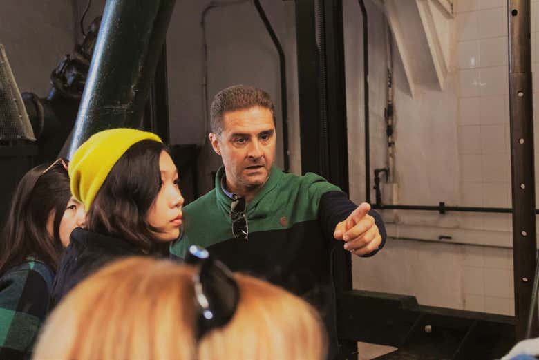 Explications sur la production d'huile d'olive