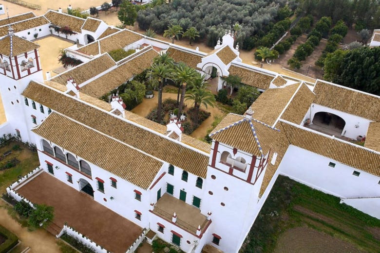 Lagar Hacienda Guzmán
