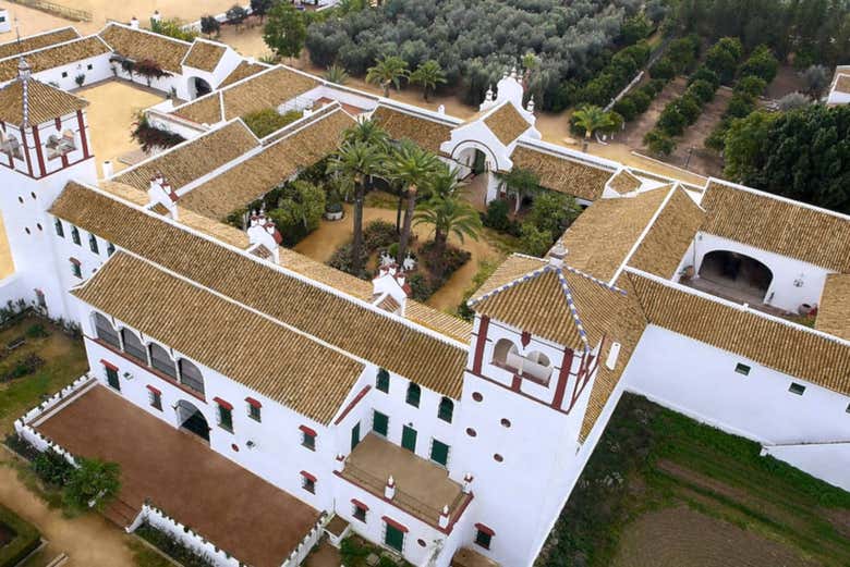 Hacienda Guzmán olive oil mill