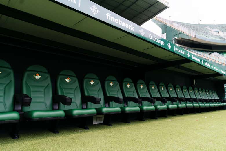 The stands