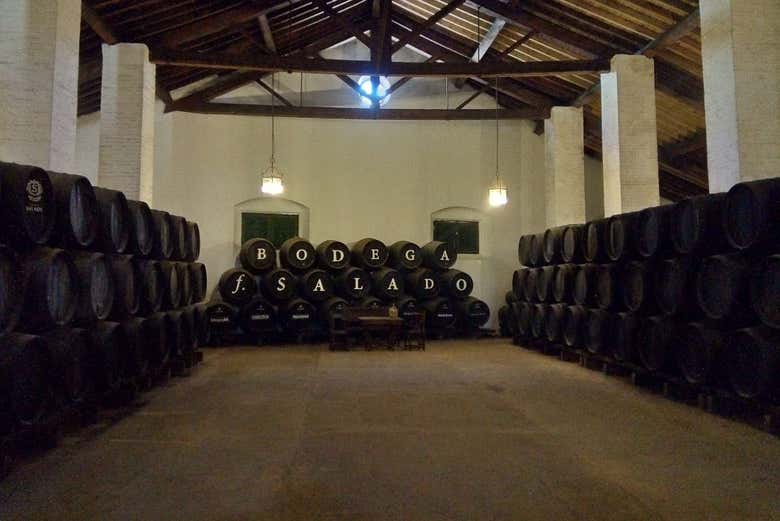Bodegas Salado