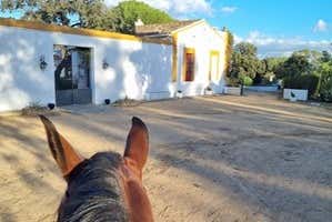 Découvrez la finca !