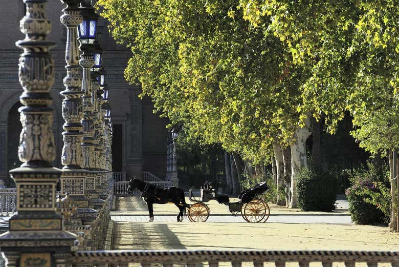 Exploring the park in horse and carriage