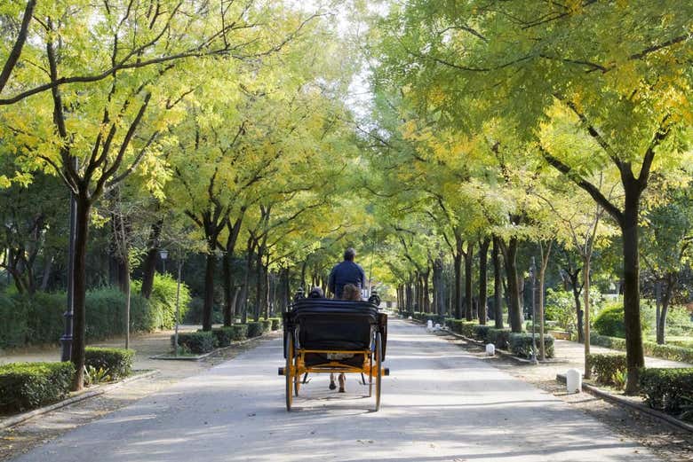 Une calèche dans le parc de María Luisa