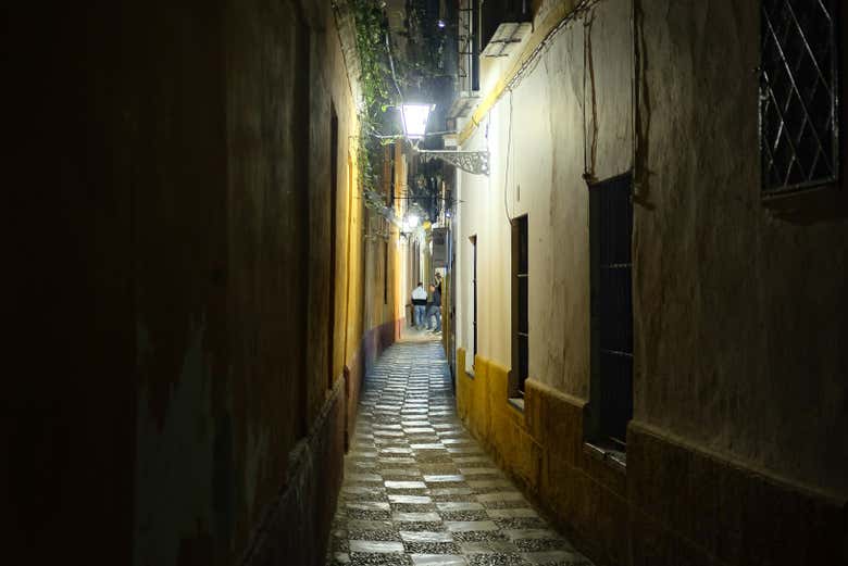 Callejones del barrio de Santa Cruz