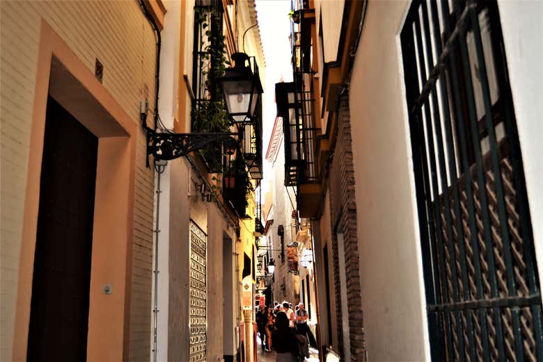 Calles de Santa Cruz