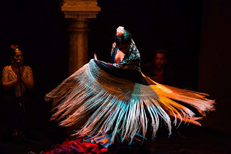Show at the Flamenco Dance Museum