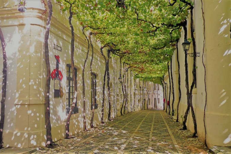 Bodega Tio Pepe