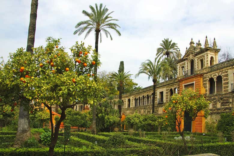 Game of Thrones Tour of the Alcazar of Seville