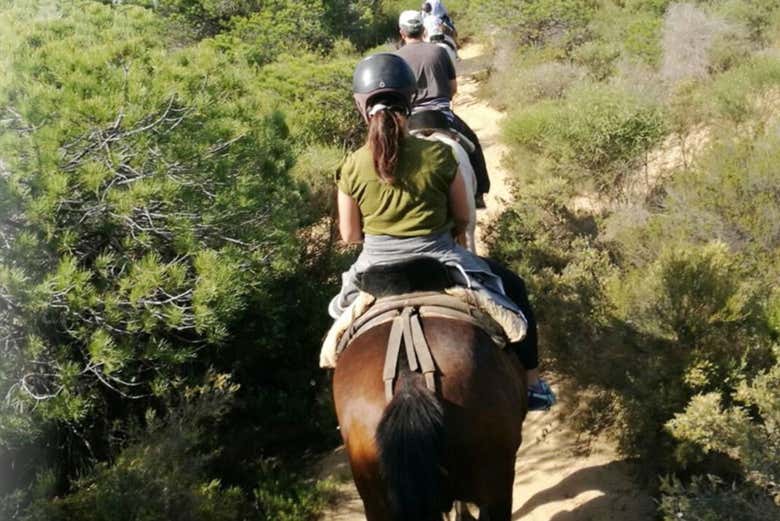 Passeio a cavalo por Doñana
