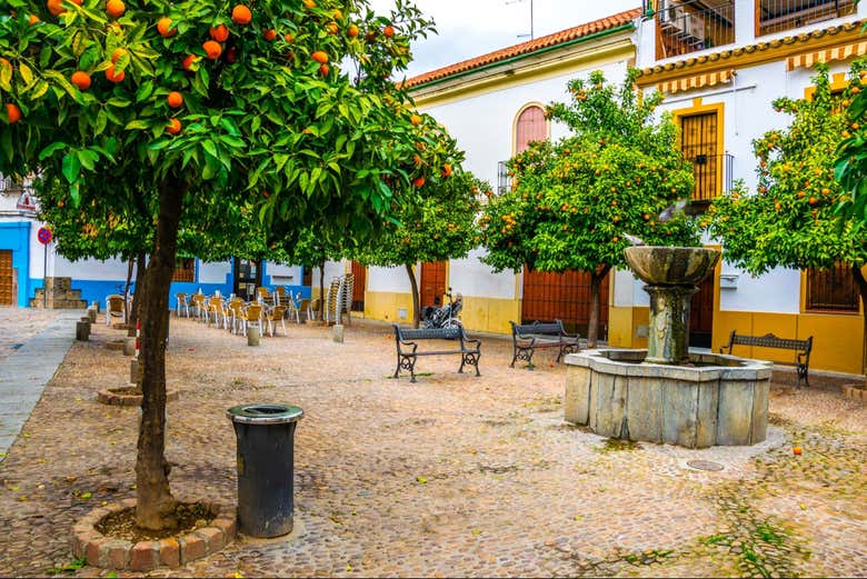Plaza Doña Elvira